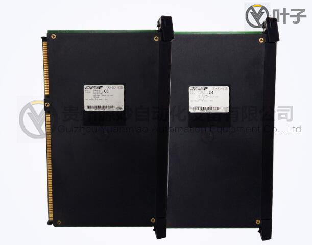 瑞恩-57C404C 2.jpg