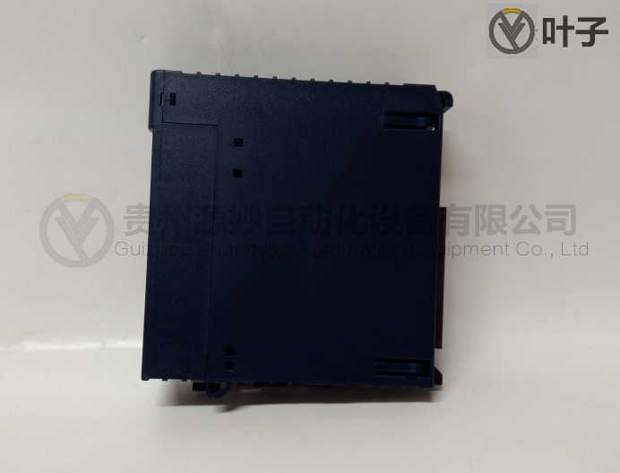 GE IC695RMX128全新現貨,選擇我,你放心!-2.png