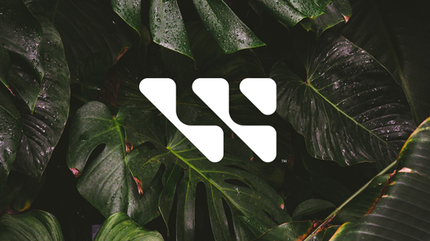 1686192619459341.png image.png