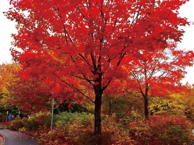 1695795780872913.png 1695795780872913.png