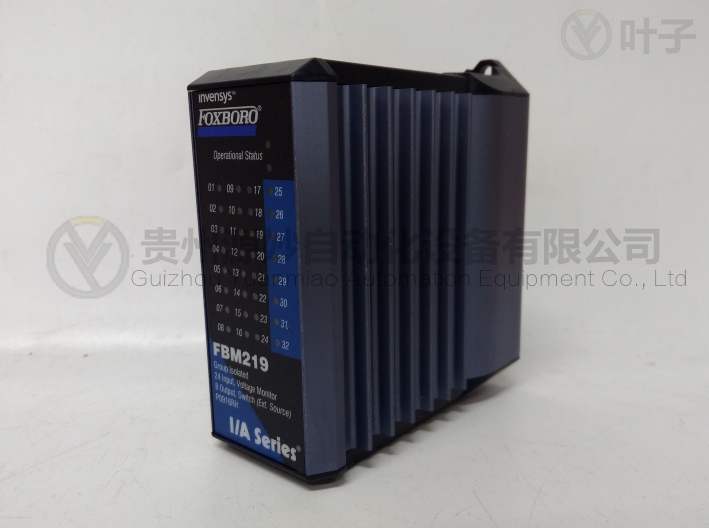 福克斯波羅 FBM219 P0916RH.jpg