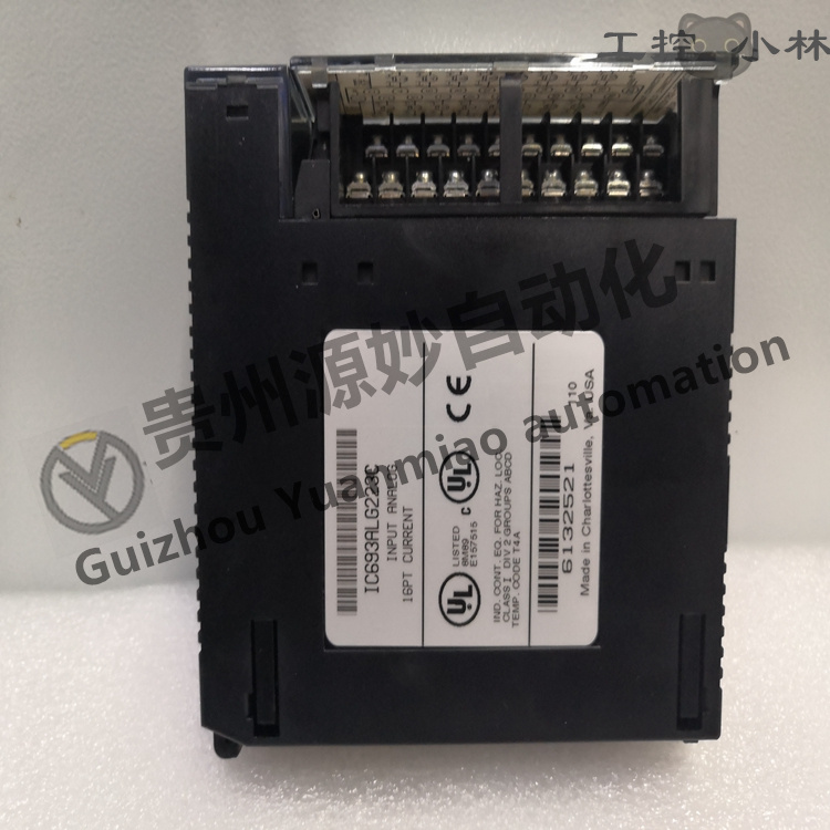 IC693ALG223D (2).jpg